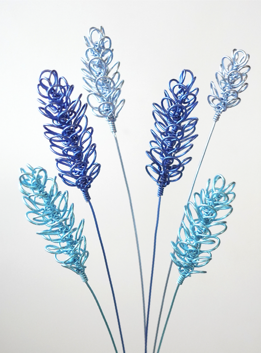 3D bristle-grass arrangement (Colored)