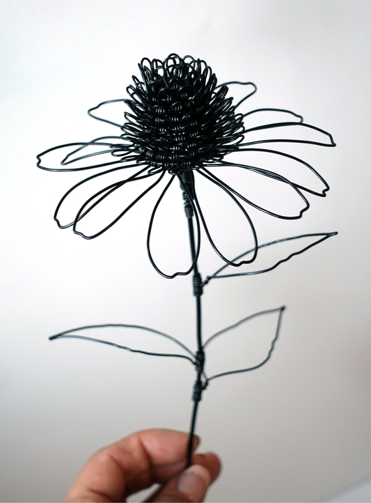 Large Coneflower (black)