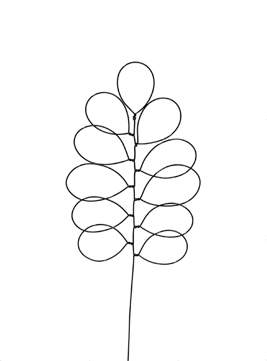 Large Rounded Leaf